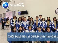 Có Nên Đi Xklđ Đài Loan 2023 Không Không Bằng Lái