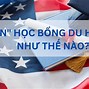 Học Nha Sĩ Tại Mỹ Có Khó Không Không