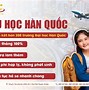 Lao Đông Việt Nam Tại Hàn Quốc Mới Nhất 2024