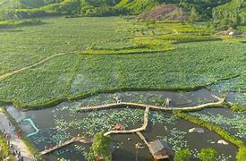 Long Châu Duy Xuyên