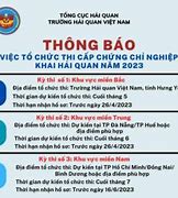 Thi Chứng Chỉ Hải Quan 2025