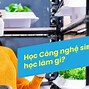 Viện Công Nghệ Sinh Học Ứng Dụng Abi